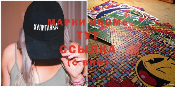 дмт Нягань