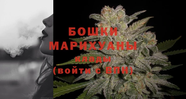 дмт Нягань