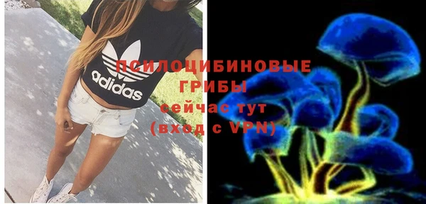 дмт Нягань