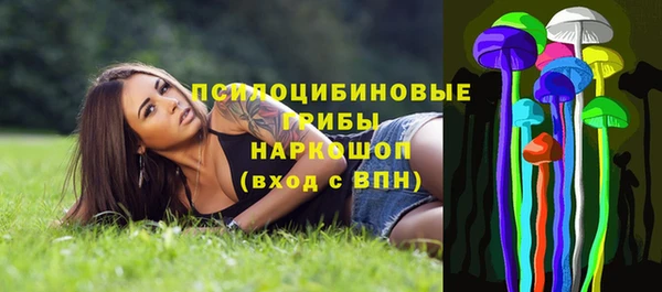 дмт Нягань