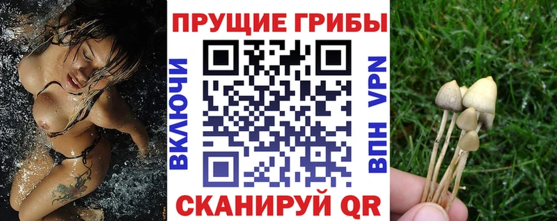 Галлюциногенные грибы ЛСД  Разумное 